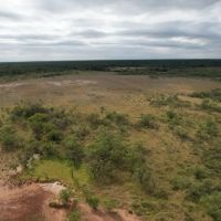 30 - Acres Jones County Tract 10 images 2
