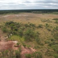 30 - Acres Jones County Tract 10 images 4
