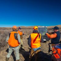 North Division MV2 Ranch images 4