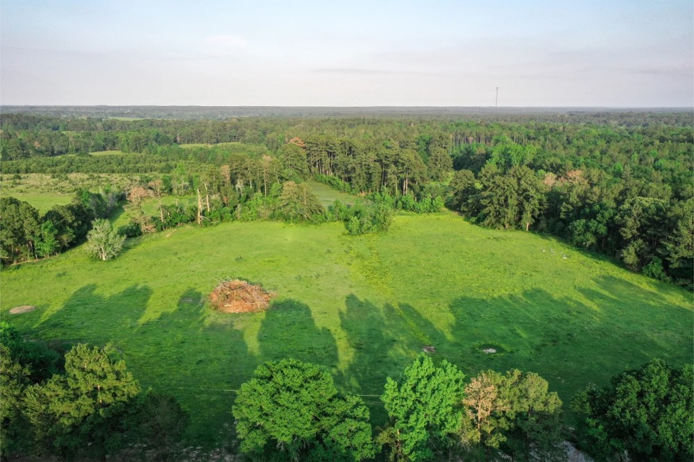 20 Acres FM 405 featured image