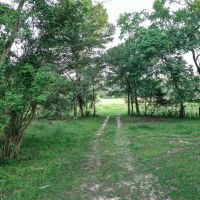 20 Acres FM 405 images 3