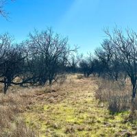 New Listing 78.568 - Acres Brown County images 5