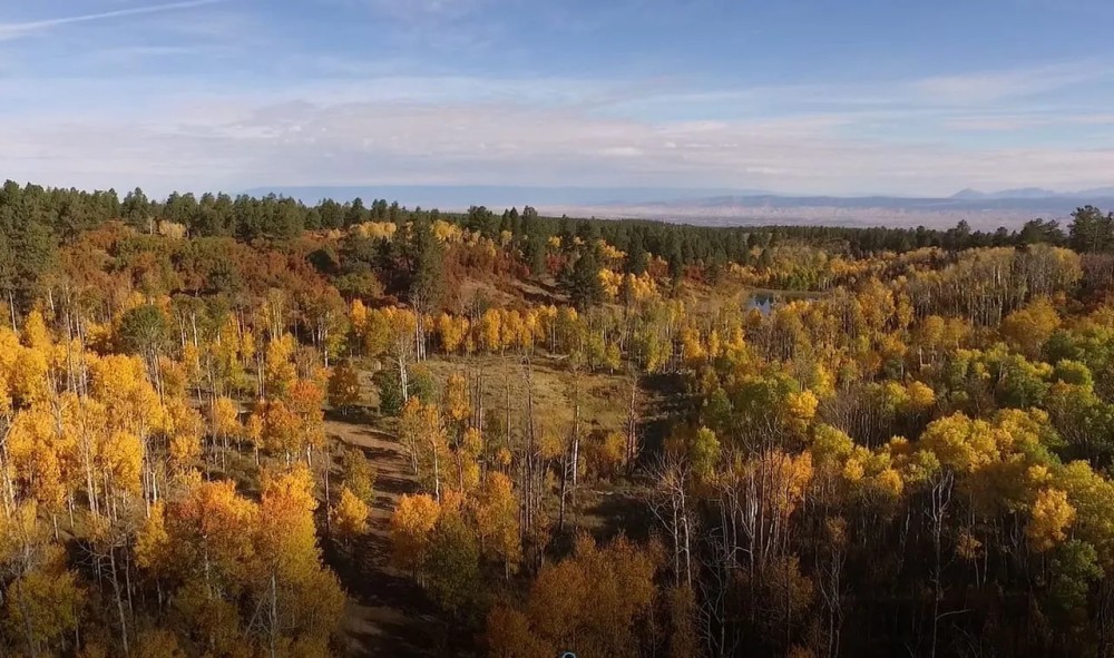 Elk Meadows featured image