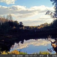 Elk Meadows images 3