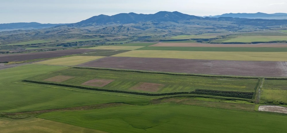 Prairie Wing Ranch featured image