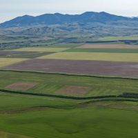 Prairie Wing Ranch