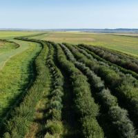 Prairie Wing Ranch images 5