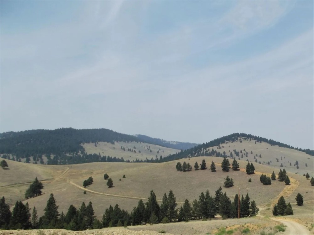 7100 Skelly Gulch Road featured image