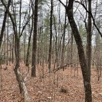 15 Acres with Mountain Views on Whitmire Church Road images 3