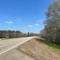 463 Acres in Calhoun County MS images 3