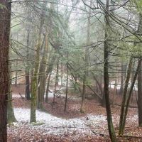 87 acres Hunting Land with Camp Site and Creek in Genesee Falls NY Wiscoy Road images 3