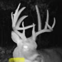 Woodson County Whitetail Mecca images 4