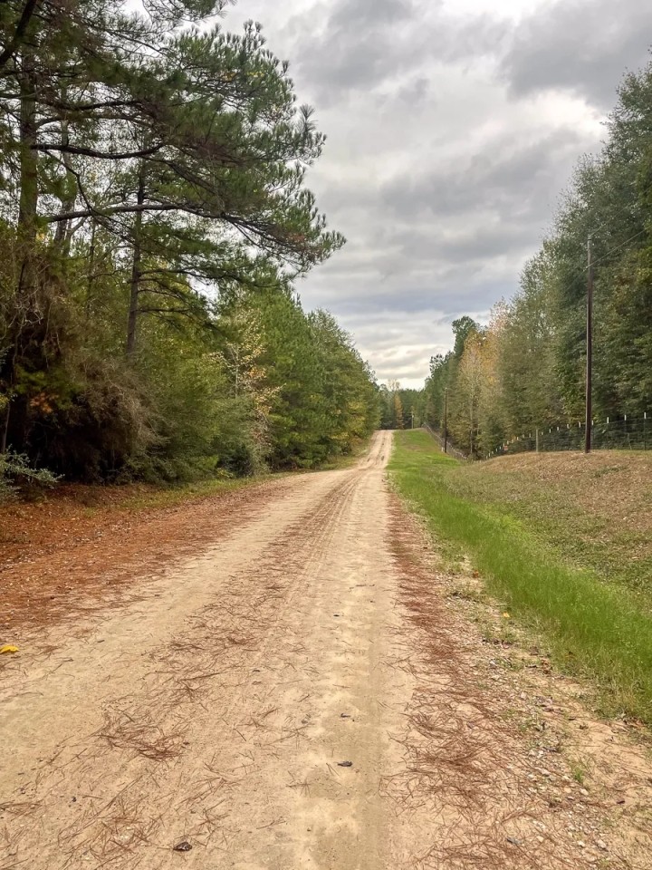 13 Acres 425 Piney Creek Subdivision featured image
