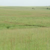 Bartlesville 160 Acres images 4