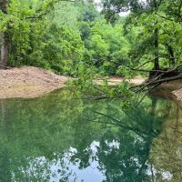 319 Acres In Delaware County