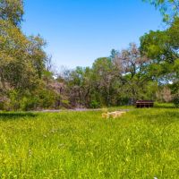 Oakalla Hills Ranch