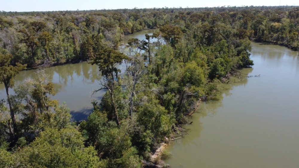 160 - acres Hecker LA 70657 featured image