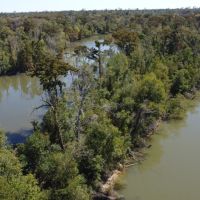 160 - acres Hecker LA 70657