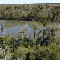 160 - acres Hecker LA 70657 images 2