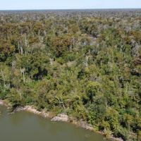 160 - acres Hecker LA 70657 images 4