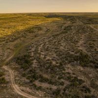 Double T Ranch images 3