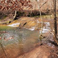 95 Acres in Monroe County Georgia