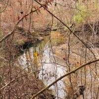 95 Acres in Monroe County Georgia images 2