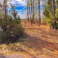95 Acres in Monroe County Georgia images 3