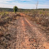 95 Acres in Monroe County Georgia images 4