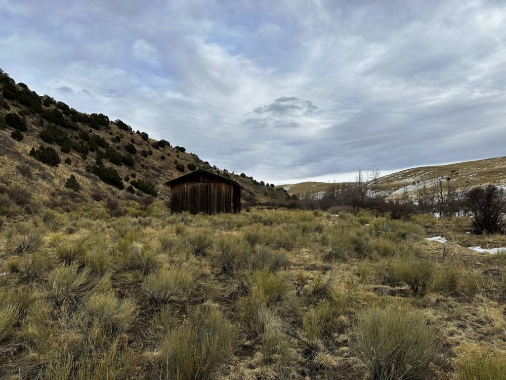 Joy Ranch featured image