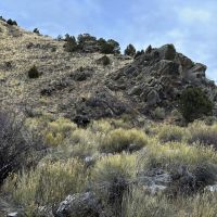 Joy Ranch images 4