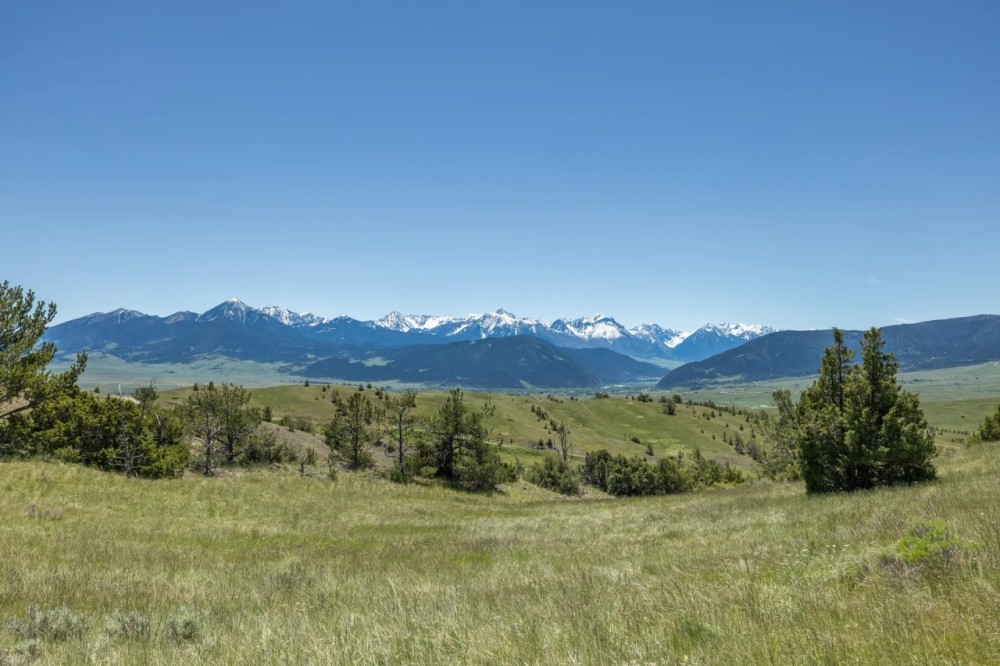85 Acres of Mule Deer Hunting 10 minutes from Livingston MT featured image