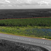 30 acres in Waycross - water and pines - Valdosta Hwy