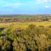 TBD Farm Road 1702 Unit 67 Dublin TX 76446 images 3