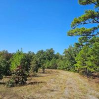 McGEE CREEK WEST HUNTING RESERVE images 3