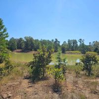 McGEE CREEK WEST HUNTING RESERVE images 4