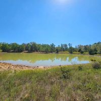 McGEE CREEK WEST HUNTING RESERVE images 5