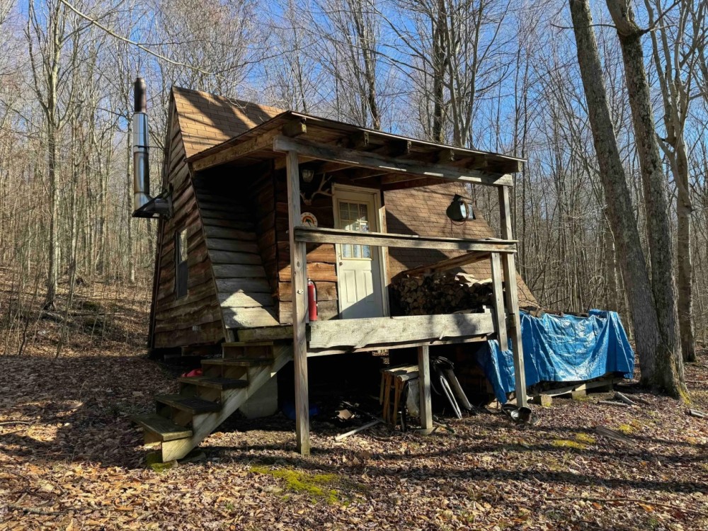 Cabin on 40 acres with Creek in Bolivar NY Ball Road featured image