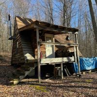 Cabin on 40 acres with Creek in Bolivar NY Ball Road