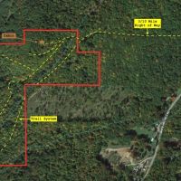 Cabin on 40 acres with Creek in Bolivar NY Ball Road images 2