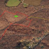 Cabin on 40 acres with Creek in Bolivar NY Ball Road images 3