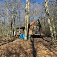 Cabin on 40 acres with Creek in Bolivar NY Ball Road images 4