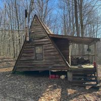 Cabin on 40 acres with Creek in Bolivar NY Ball Road images 5