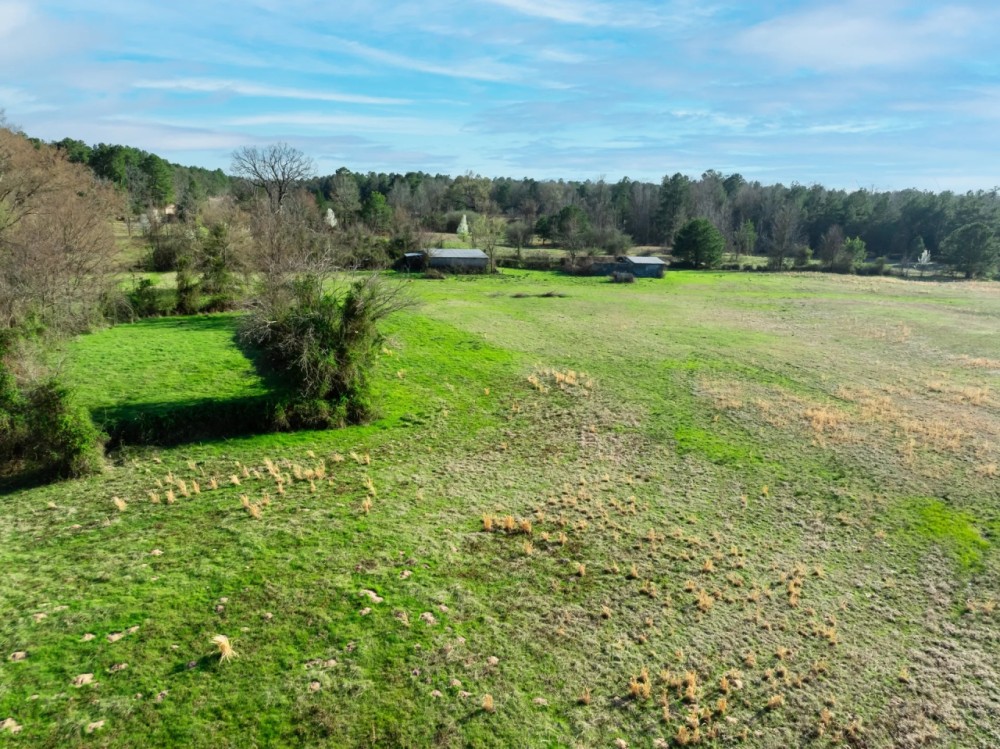 Hunting Recreational Land For Sale Clarksville TX featured image