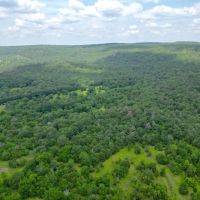 Hunting land for sale in Daisy OK