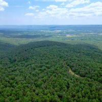 Hunting land for sale in Daisy OK images 4