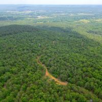 Hunting land for sale in Daisy OK images 5