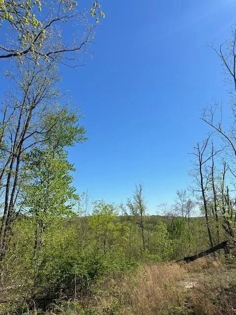 Lot 43 Wilson Ridge Rd featured image