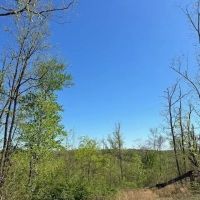 Lot 43 Wilson Ridge Rd