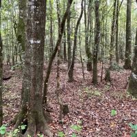 360 - ac Butler Co images 2